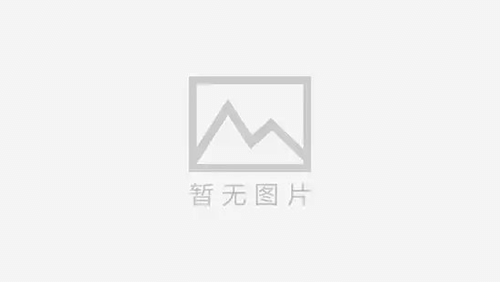 乐山寻人公司：2024年最新的失散之路